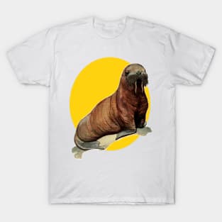 Walrus T-Shirt